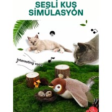 Kedi Oyuncakları Titreyen Peluş Oyuncak Uçan Kuş Oyuncak Trend Kedi Sesli Av Oyuncak Tüylü Kuş Oyuncak