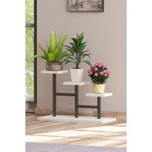 Metal Iskeletli Saksılık Çiçek Rafı Aksesuar ve Bitki Rafı ve Stand