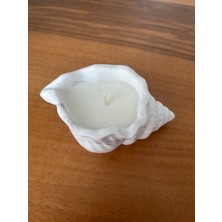 Atelier Rainy Dekoratif Deniz Kabuğu Soya Mum Nikah Nişan Söz Hediyelik