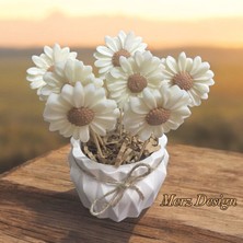 Dekoratif Beton Saksıda %100 Doğan Soya Wax Papatya Mum Buketi
