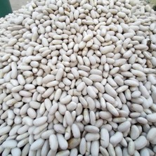Akyol Mandıra Köy Mahsulu Ahlat Yerli Kuru Fasülye 1 kg