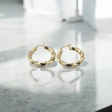 PIEDORA GOLD 14 Ayar Altın Küpe