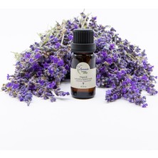 Lavande Organik Lavanta Yağı (L. Angustifolia) 10ML-İÇTEN Damlalıklı