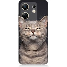 Teknomeg Infinix Zero 30 4g Uyumlu Gri Kedi  Desenli Silikon Kılıf