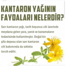 Sarı Kantaronyağı