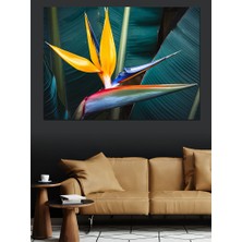 Tropikal Cennet Kuşu Çiçeği Dekoratif Kanvas - Mdf Ahşap Tablo