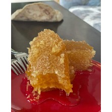 Turhallı Geleneksel Ürünler Organik Reşadiye Yayla Süzme Bal 900 gr
