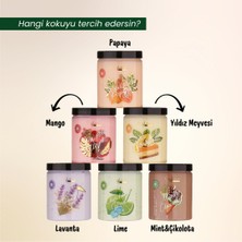 EvyLaure Sorbet À La Papaye Body Butter Papaya Ekstraktlı Yoğun Nemlendirici 280 ml