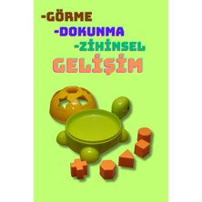 Bul-Tak Kaplumbağa Zeka ve Beceri Geliştirici Geometrik Şekiller Oyuncak