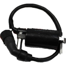 Msr Ateşleme Bobini Rks Tıtanıc 150
