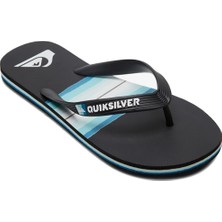 Quiksilver MOLOKAI RESIN TINT YOUTH