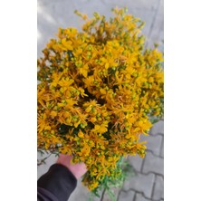 Hatayel Yapımısaf Kantaron Yağı
