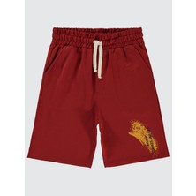 Civil Boys Erkek Çocuk Kapri 6-9 Yaş Koyu Bakır