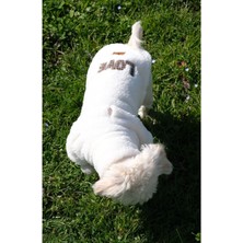 Peti Tailor Köpek Kıyafeti Wellsoft Boğazlı Love