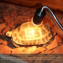 Alchemy 10 Adet Sürüngen Lamba Ampulü Kaplumbağa Güneşlenme Uv Işık Ampulleri Amfibiler Için Tam Spektrumlu Güneş Lambası Isıtma, 50W (Yurt Dışından)