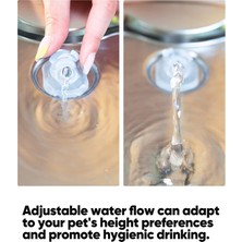 Alchemy Paslanmaz Çelik Kedi Su Çeşmesi 108OZ/3,2LPET Köpek Sulama Çeşmeleri Içme Suyu Için Ab Fişi (Yurt Dışından)