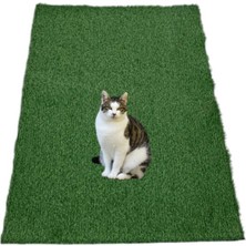 Iç ve Dış Mekan Kedi&köpek Matı Açık Yeşil / L