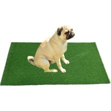 Iç ve Dış Mekan Kedi&köpek Matı Açık Yeşil / L