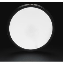 3 Adet Noas YL14 2410 S Sıva Üstü 24W Siyah Kasa LED Spot 6500K Beyaz Işık