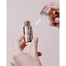 Ovaco Snow Gold Edition Cilt Bakım Serum Ampul Seti - Yaşlanmayı Tersine Çeviren, Cilt Aydınlatıcı & Leke Bakımı - Kök Hücre, Peptit ve Egf Içerikli - 5X11ML