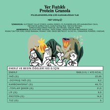 The Good Wild Yer Fıstıklı Protein Granola 250 gr