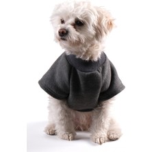 Peti Tailor Köpek Kıyafeti Sweat Shırt Gri Ribanalı