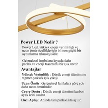 Melodi Model Gold Renk Metal Salon Mutfak Oturma Yatak Odası Modern LED Sarkıt Avize