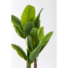 Yapay Muz Ağacı 200  cm  Plastik Küre Saksı