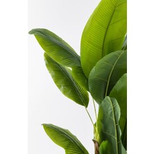 Yapay Muz Ağacı 200  cm  Plastik Küre Saksı