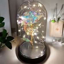 Brokoli Home Fanus Içerisinde Dekoratif Sonsuzluk Gülü , Anneler Günü , Sevgililer Günü , Hediyelik