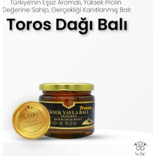 Toros Dağı Yüksek Yayla Balı Premium 400 gr