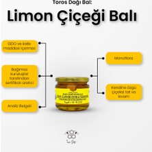 Toros Dağı Limon Çiçeği Balı 400 gr