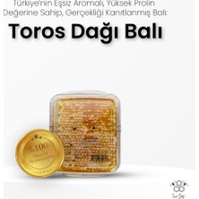 Toros Dağı Petekli Bal 450 gr