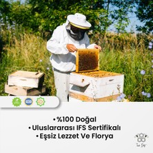 Toros Dağı Petekli Bal 450 gr