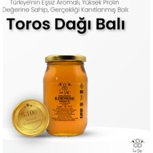 Toros Dağı Süzme Çiçek Balı - 480 gr