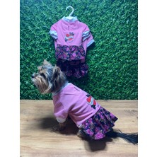 Bellorsi Pembe Pileli Penye Kedi Köpek Elbisesi