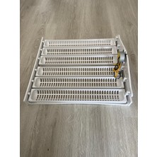 Kuluçka Makinesi 36 Kaz- 192 Bıldırcın Kapasiteli Otomatik Kuluçka Gelişim Viyolü