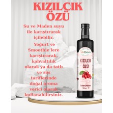 SirDeva Kızılcık Özü 700 Gr.