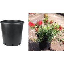 Tunç Botanik Siyah Üretim Saksısı 50 Adet - 3 Lt 17.5 cm