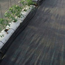 Tunç Botanik Sera / Bahçe Taban Örtüsü 4 x 3 M ( 12 M2 Malç Örtüsü)