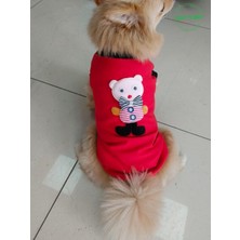 Pembe Ayıcık Aksesuarlı Kırmızı Kedi Köpek Kıyafeti Elbisesi