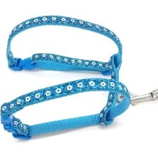 D&M Petshop Parlak Kedi Gezdirme Göğüs Tasması