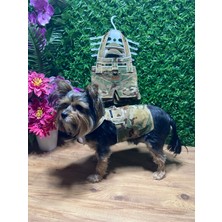 Bellorsi Askeri Model Kedi Köpek Tasması