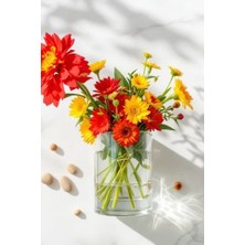 Pasha 15 cm  x 20 cm  El Işçiliği Silindir Cam Vazo