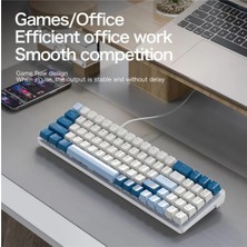 ATAsoft K65 Oyuncu Klavyesi Gaming Mekanik 78 Tuşlu  Rainbow Aydınlatmalı Hot-Swapp USB Tip-C Kablosu