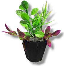 Akvaryum Fanus Dekoru Aksesuarları 10 cm 4 Parça ( Dalgıç,saksı,balık T.y. ,sandal )