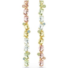 Swarovski SWR5705809 Kadın Küpe