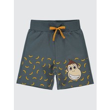 Civil Boys Erkek Çocuk Kapri 2-5 Yaş Antrasit