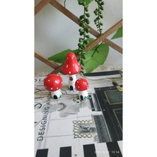 Evdeki Atölyem 3'lü Dekoratif Teraryum Mantar Obje