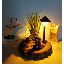 Evlilik Yıl Dönümü Hediyesi Doğum Günü Hediyesi Sırt Sırta Çift Temalı Işıklı Kütük Teraryum